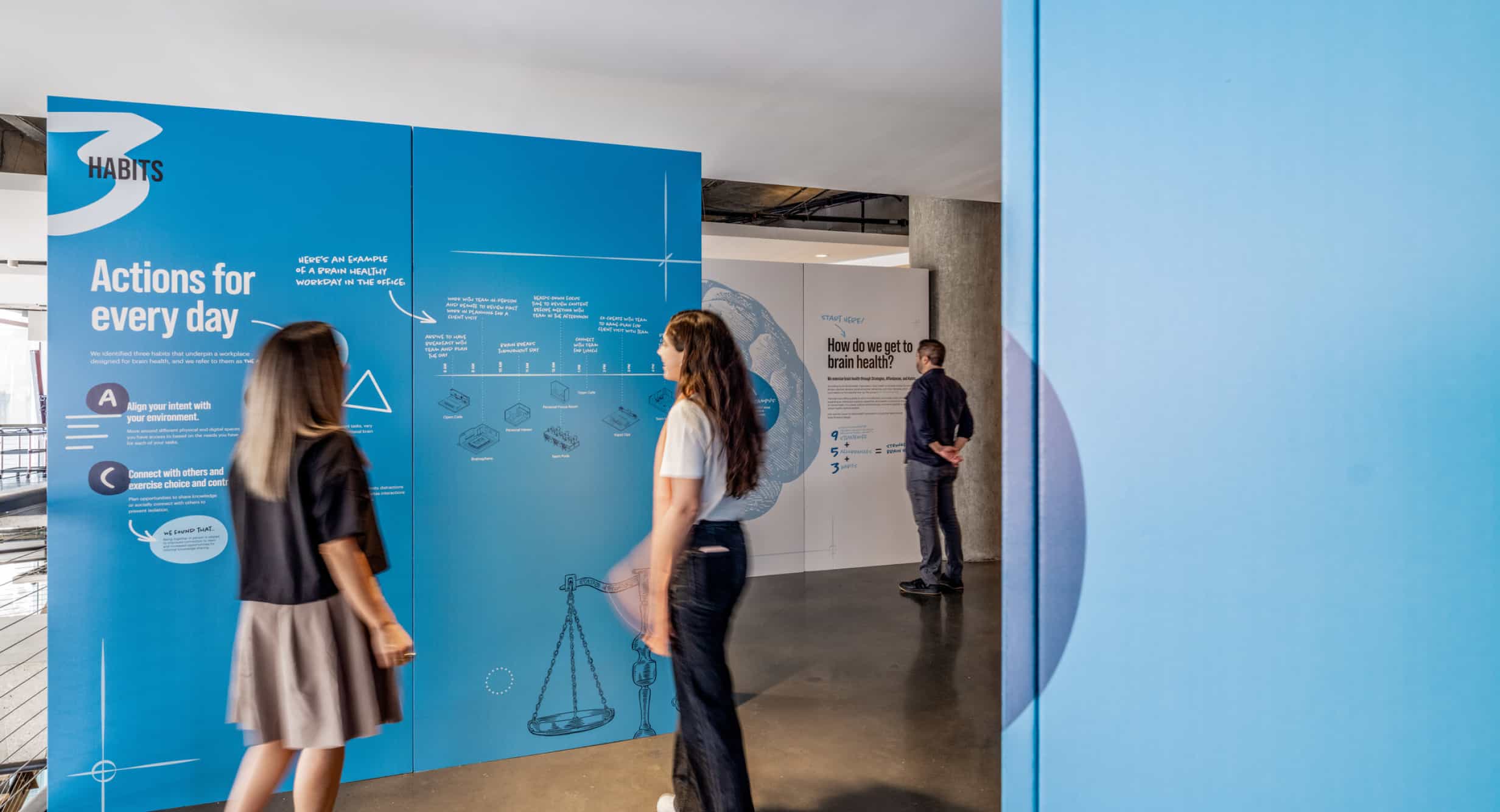 Brain Building Exhibit